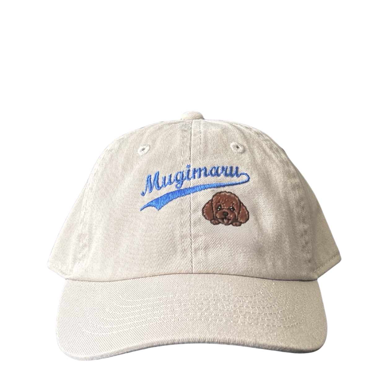 TOY POO / BEIGE  DAD CAP